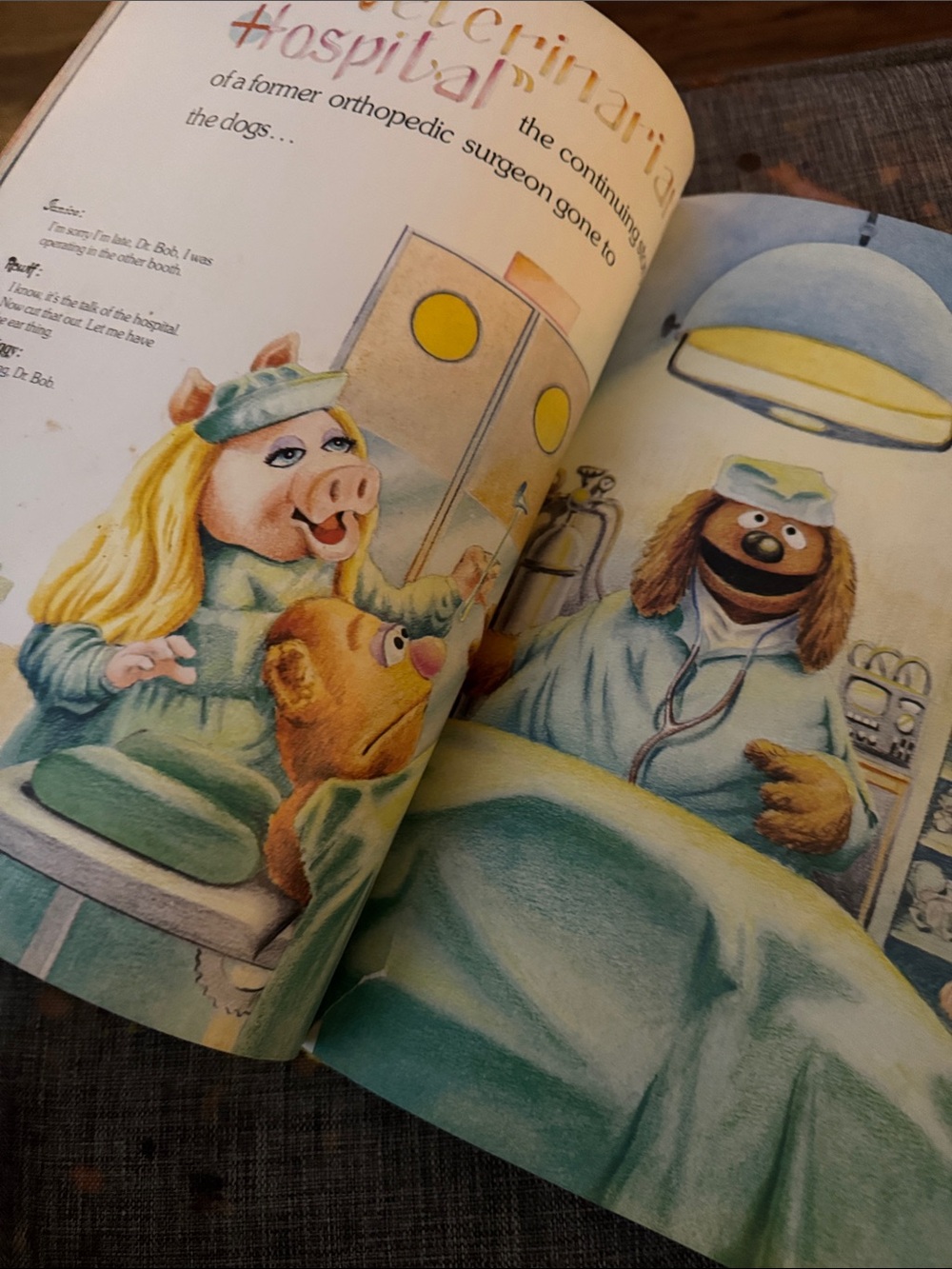 Abrams Books The Muppet Show Book - Cream, Red, Green, Yellow, Blue - Picture 11 of 14